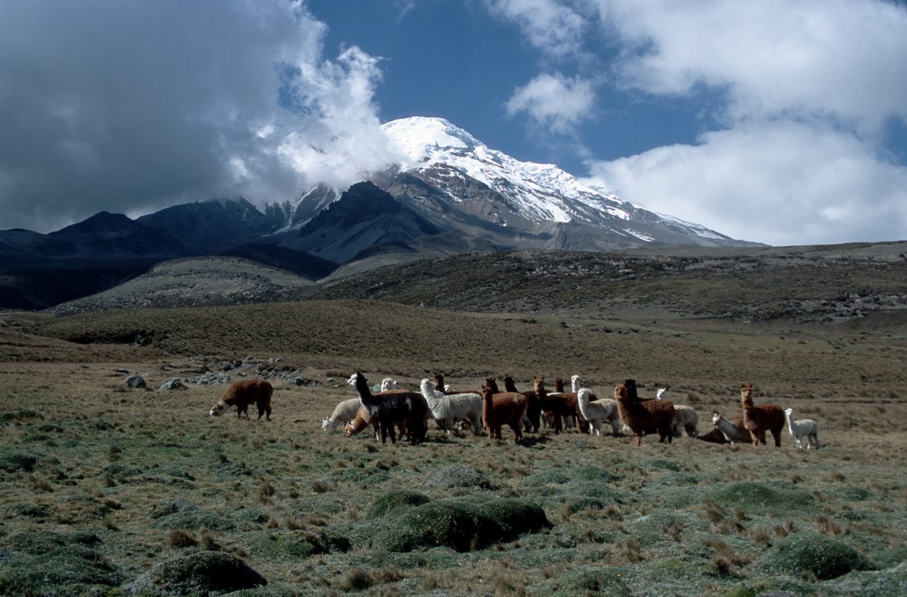 Chimborazo-montagne-record-hauteur-06