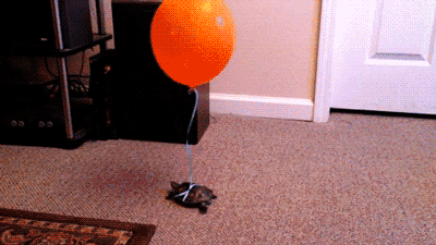 balon-gonflable-gif-03