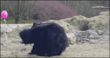 balon-gonflable-gif-05