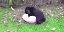balon-gonflable-gif-06