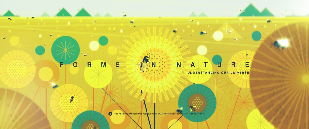 Les formes de la nature