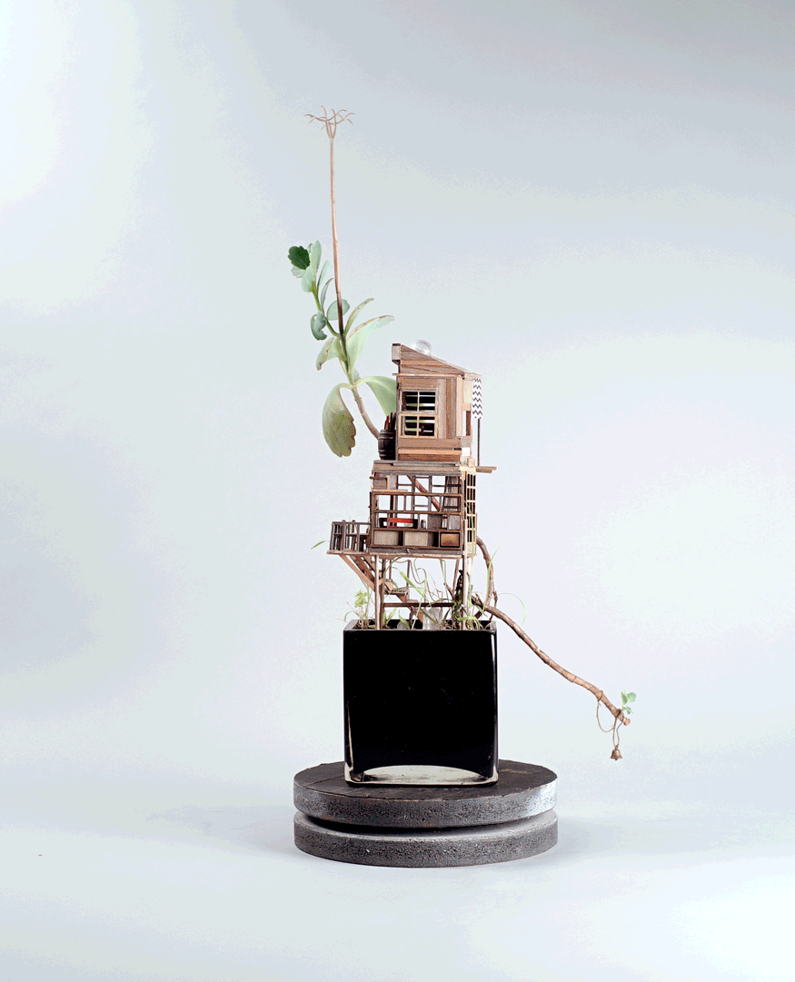 plante-cabane-interieur-01