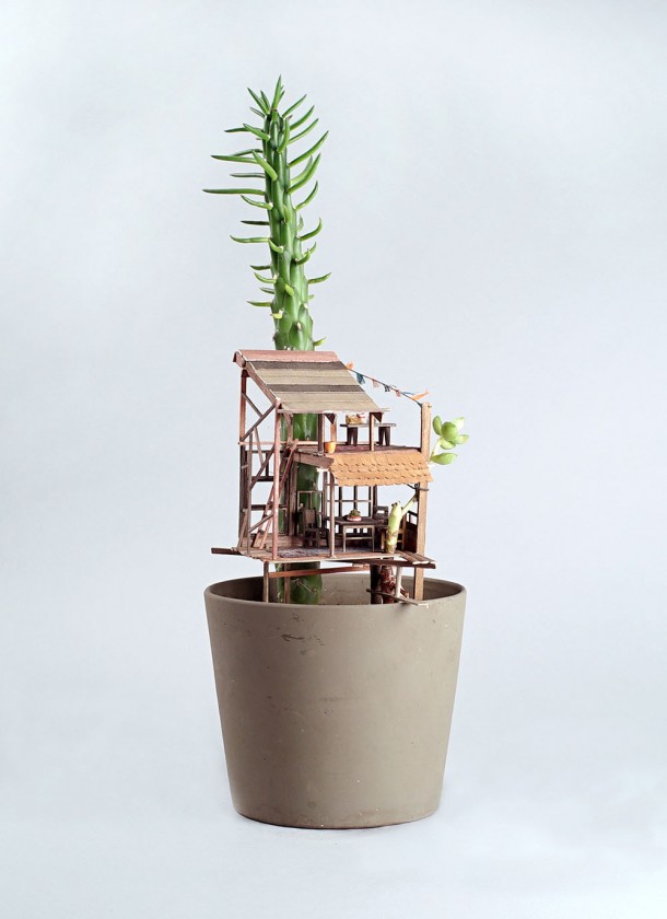 plante-cabane-interieur-02