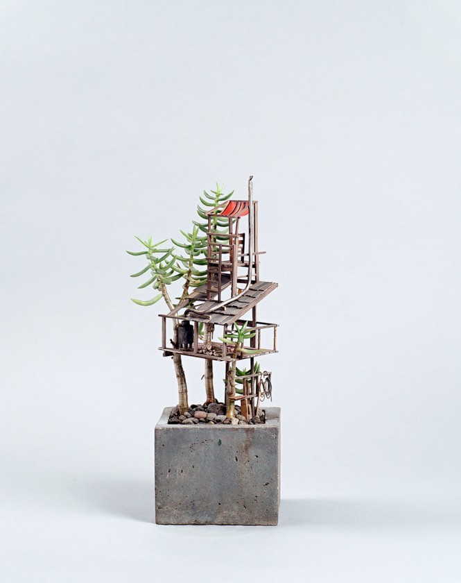 plante-cabane-interieur-03