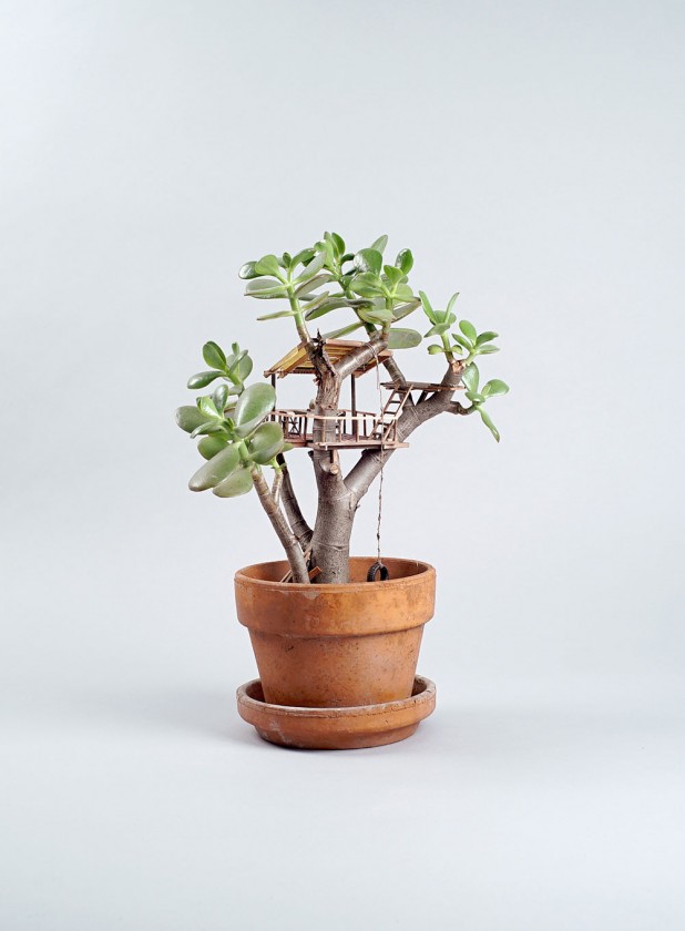 plante-cabane-interieur-05