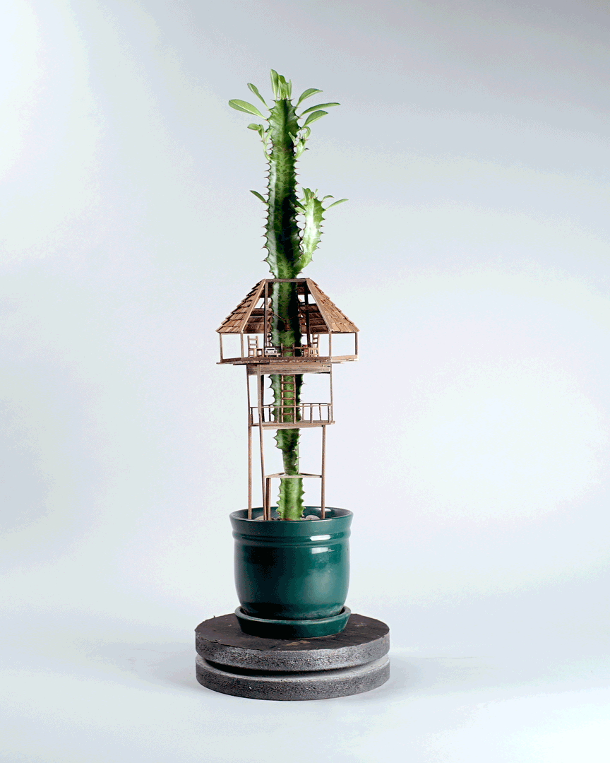 plante-cabane-interieur-07
