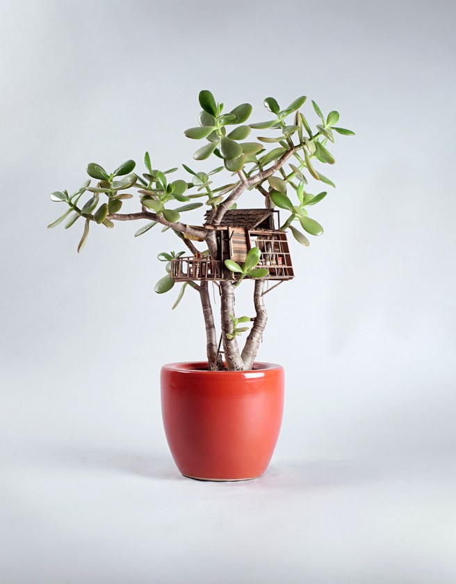 plante-cabane-interieur-09