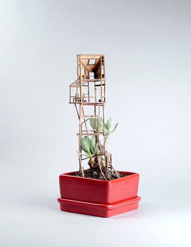 plante-cabane-interieur-10