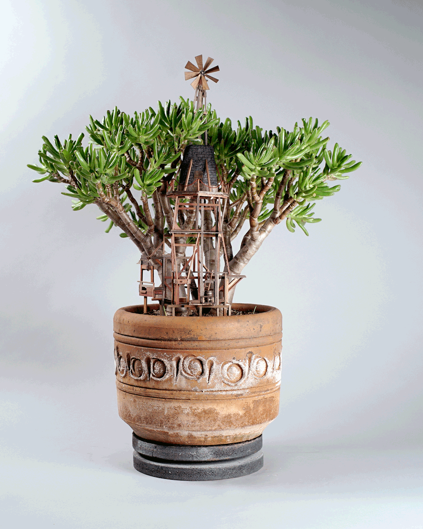 plante-cabane-interieur-11
