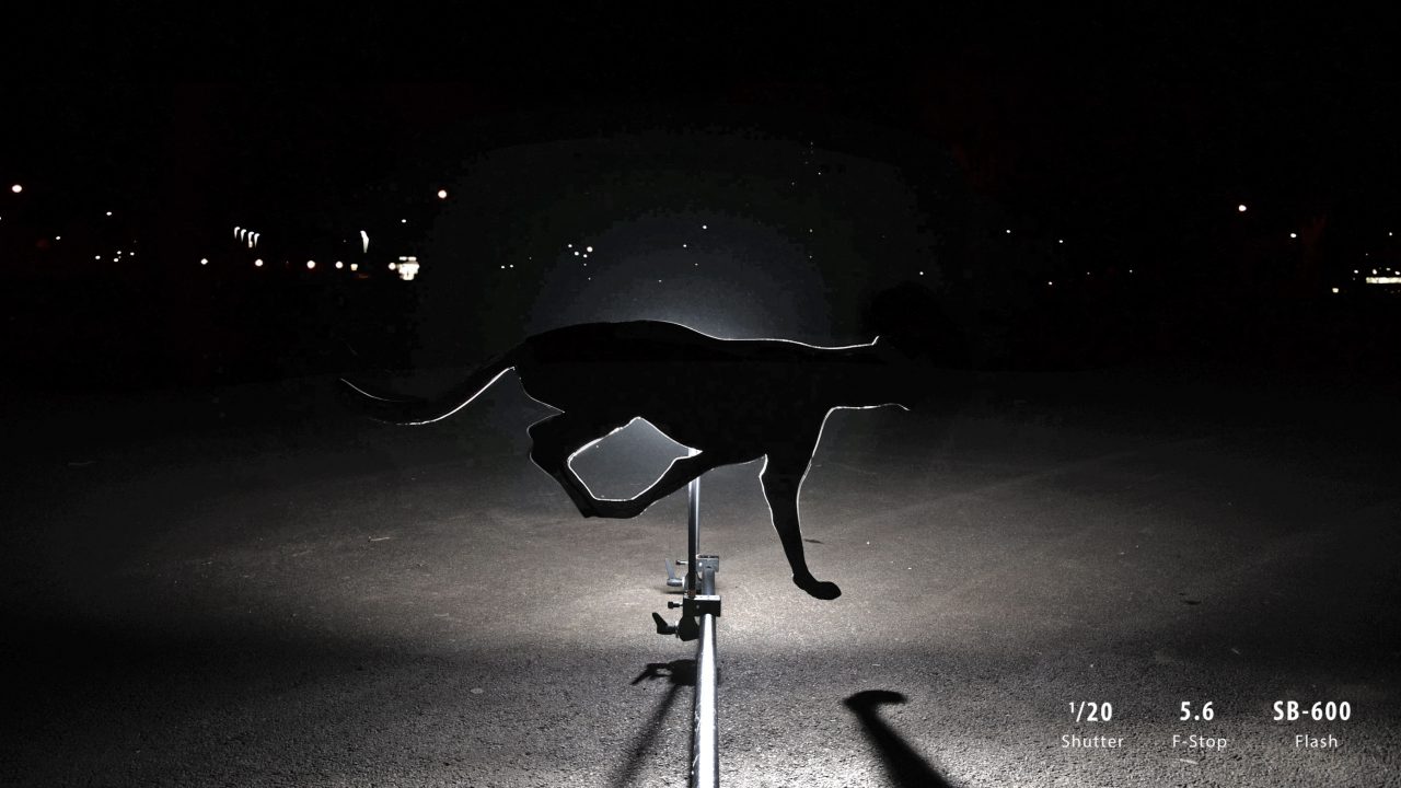 animal-ombre-02