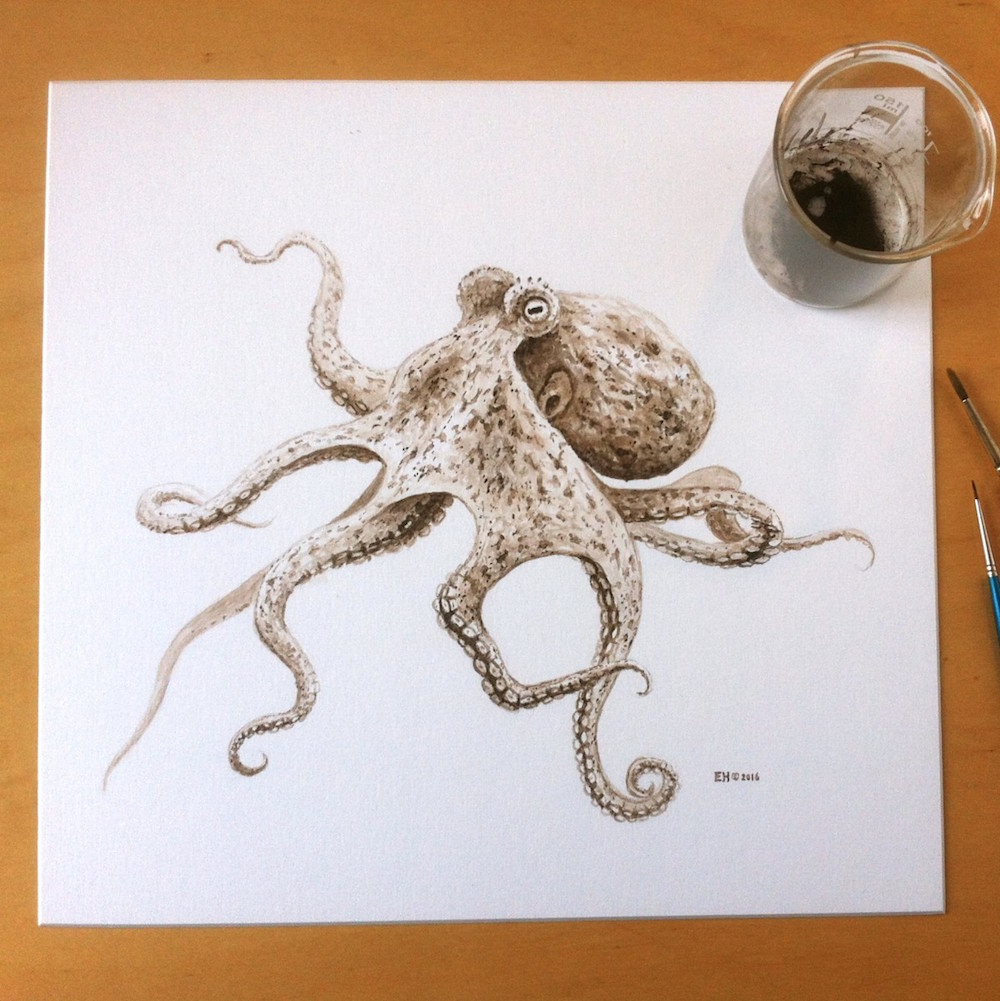 Un octopus peint avec de l’encre d’octopus datant de 95 millions d’années