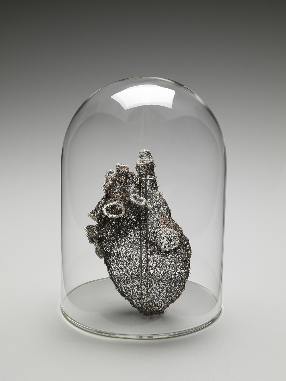Des sculptures d’organes crochetées en fils de métal