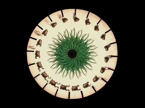 phenakistiscope-disque-animation-12