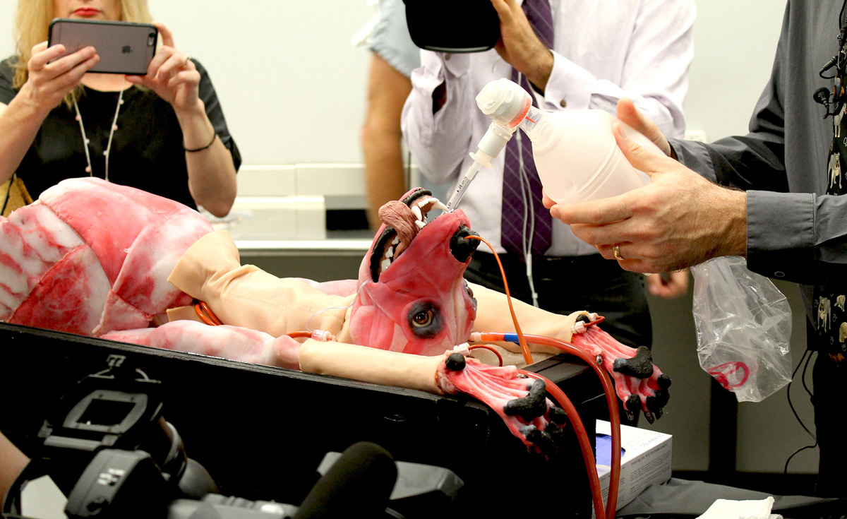 Ce chien synthétique pour vétérinaires va vous donner des cauchemars