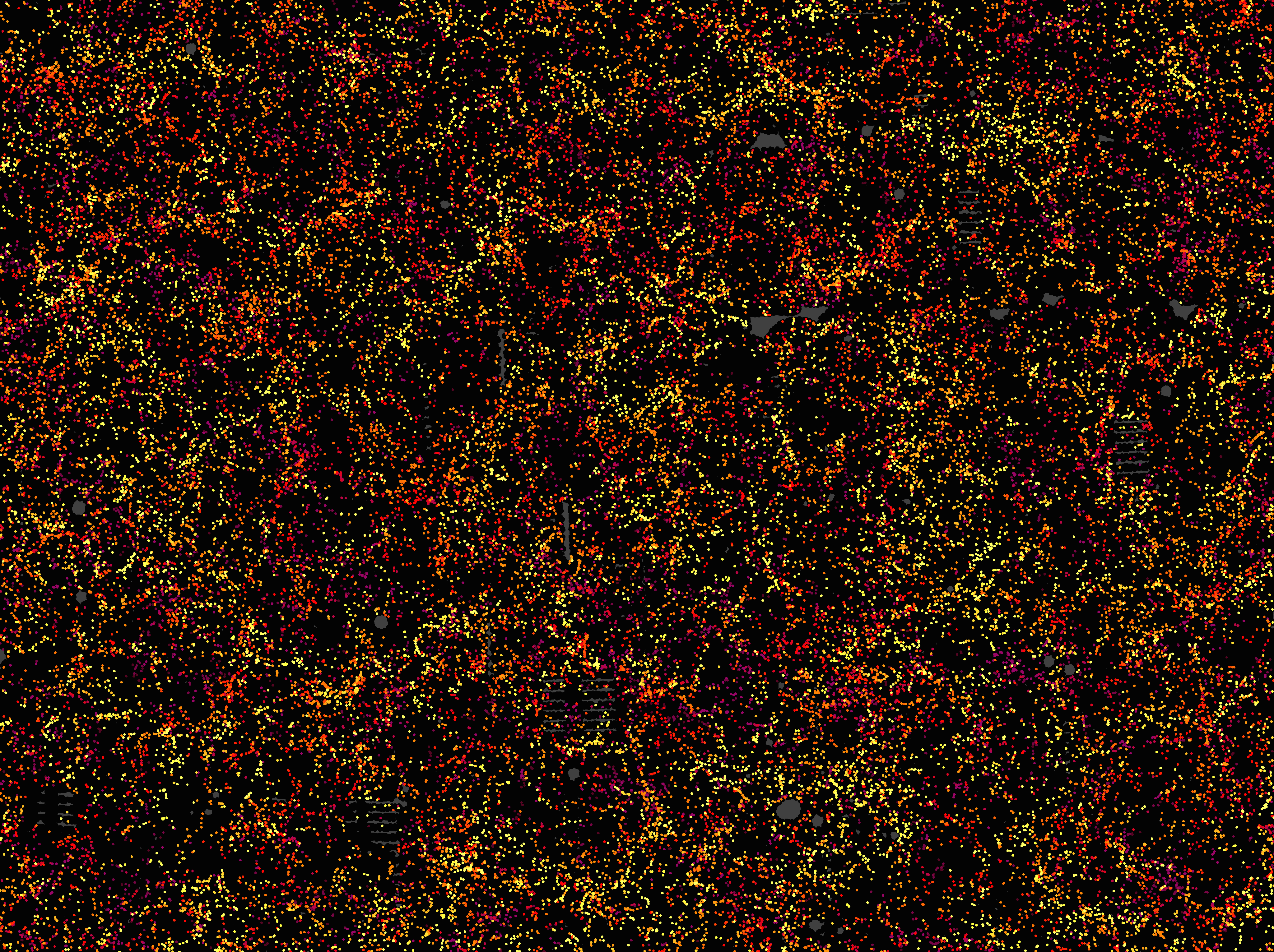 Il y a 48 741 galaxies dans ce petit coin de ciel