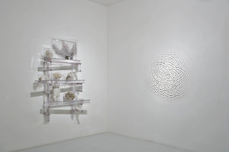 Cecchini-vibration-06