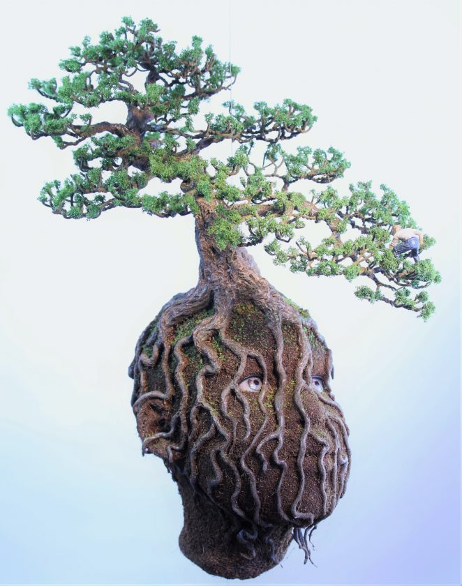 bergsma-bonzai-surealiste-16