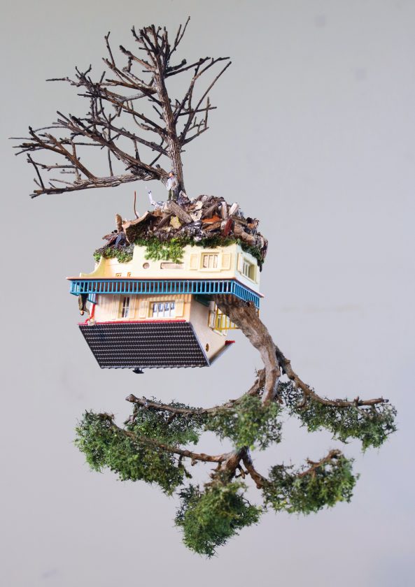 bergsma-bonzai-surealiste-20