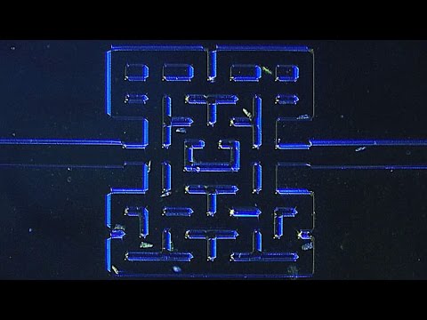 Des micro-organismes qui jouent à un Pac-Man de moins d’1mm