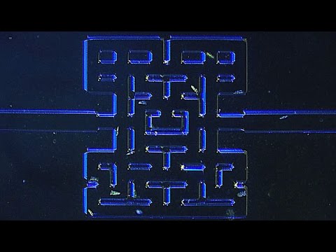Des micro-organismes qui jouent à un Pac-Man de moins d&rsquo;1mm