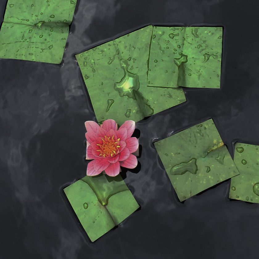 fleur-carre-06