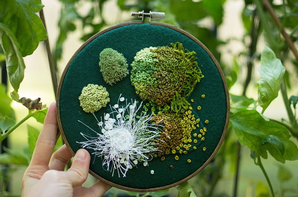 mousse-broderie-03