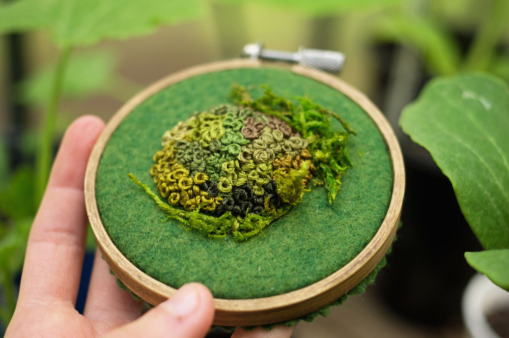 mousse-broderie-09