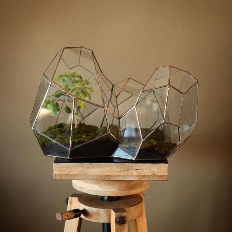 Des mini-terrariums géométriques pour vos plantes