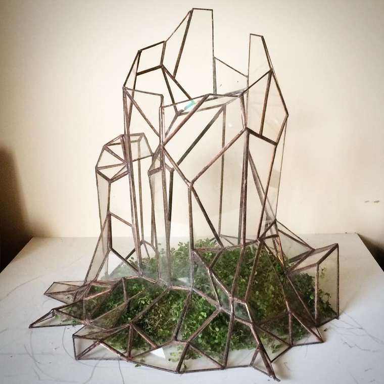 terrarium-plante-02