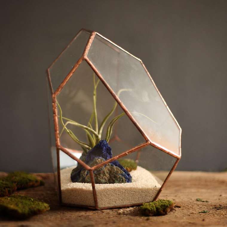 terrarium-plante-04
