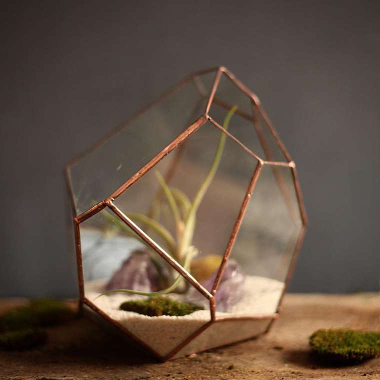 terrarium-plante-05