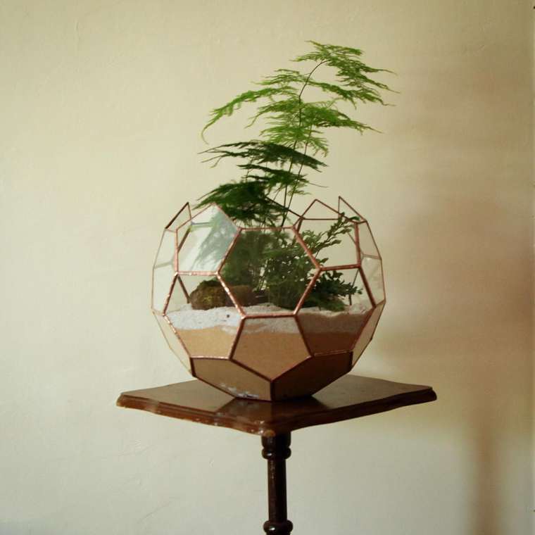 terrarium-plante-06