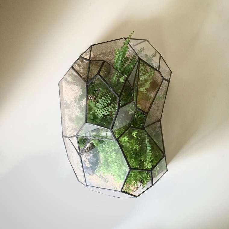 terrarium-plante-07