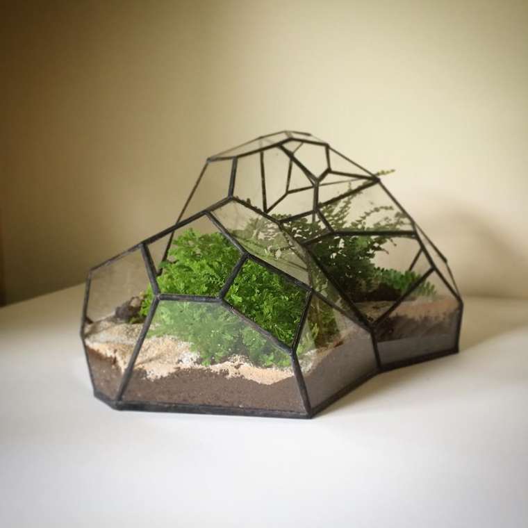 terrarium-plante-09