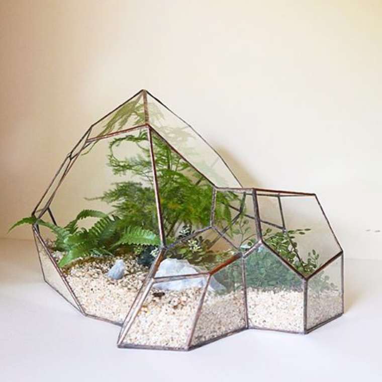 terrarium-plante-11