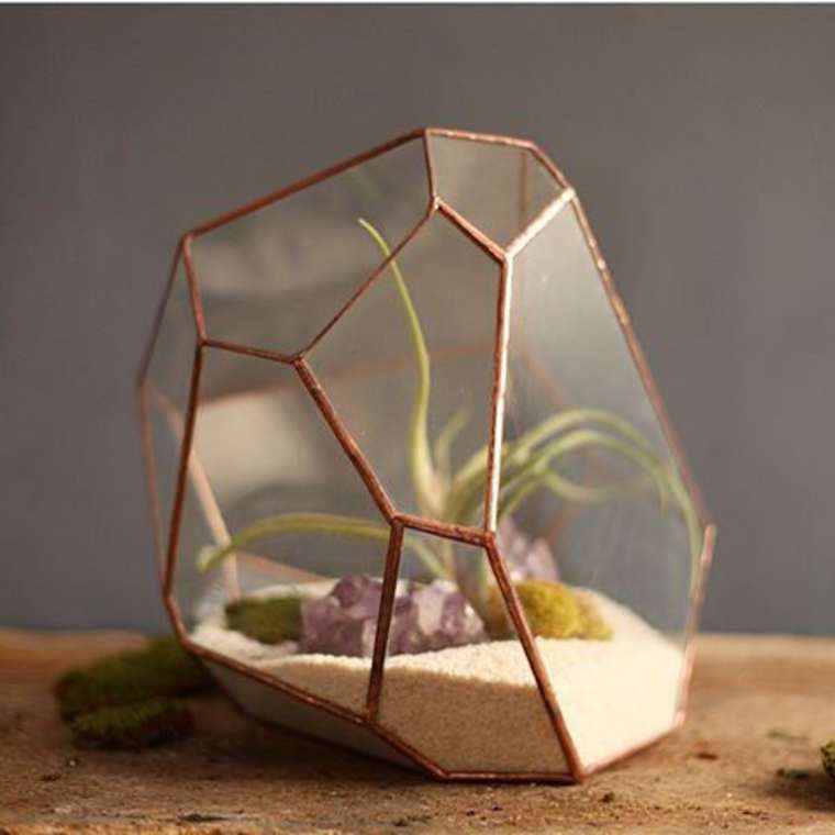 terrarium-plante-13
