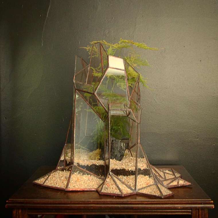 terrarium-plante-14