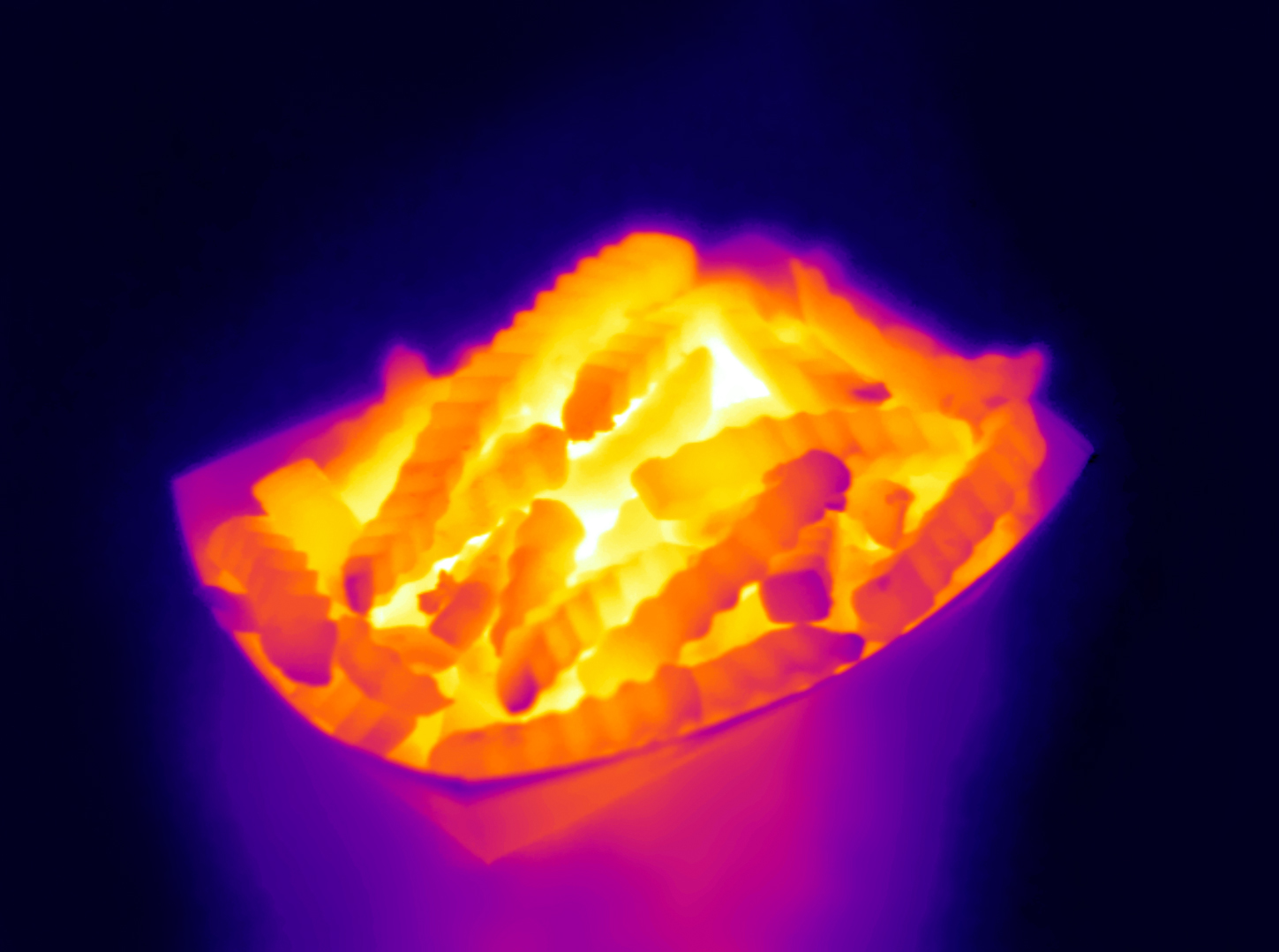 thermo-junk-food-04