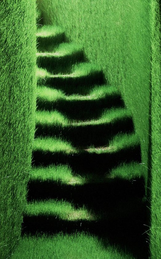 tirage-photo-herbe-10