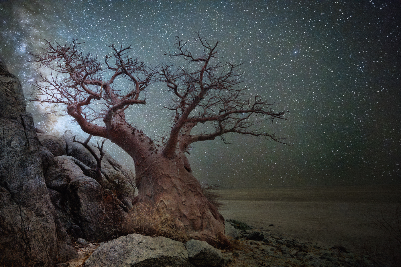 beth-moon-vieu-arbre-etoile-06