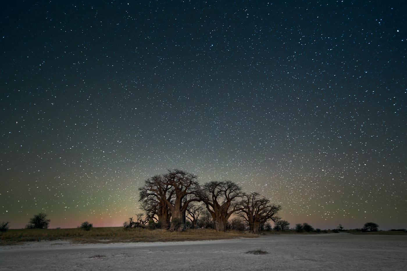 beth-moon-vieu-arbre-etoile-07