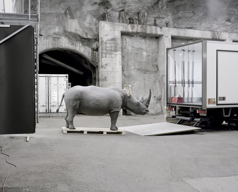 A moveable beastThe exhibitions in the Natural History Collections in Bergen, Norway are undergoing a major restoration, and will be closed for at least five years. Due to this all the animals are beeing moved to a new temporary storage facility on the