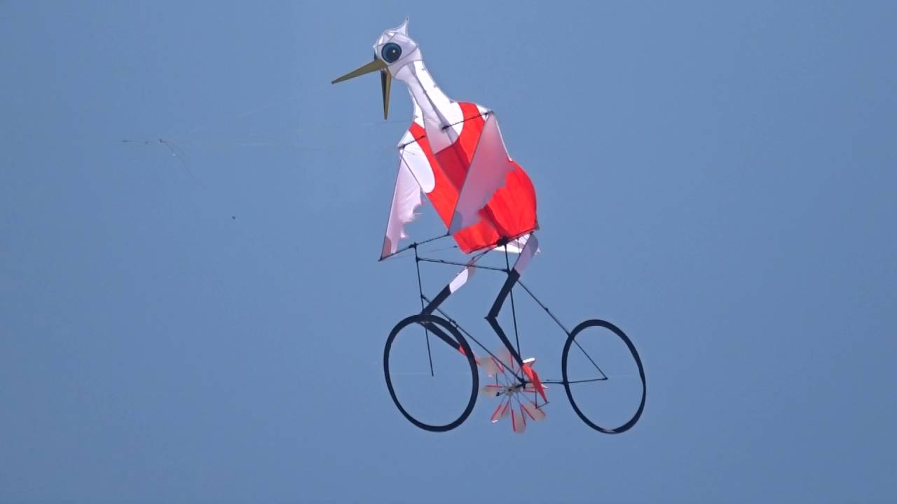 L’oiseau qui fait du vélo en cerf-volant
