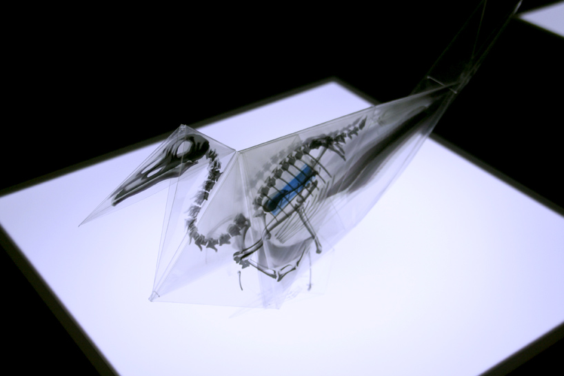 rayonx-origami-01