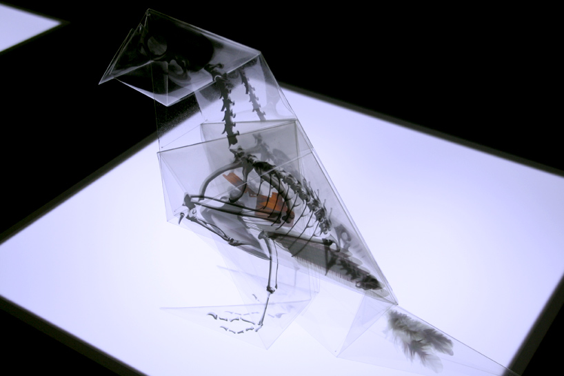 rayonx-origami-03