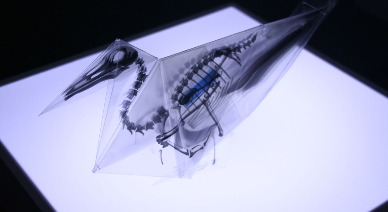rayonx-origami-09