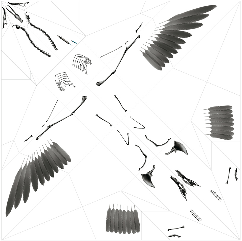 rayonx-origami-10