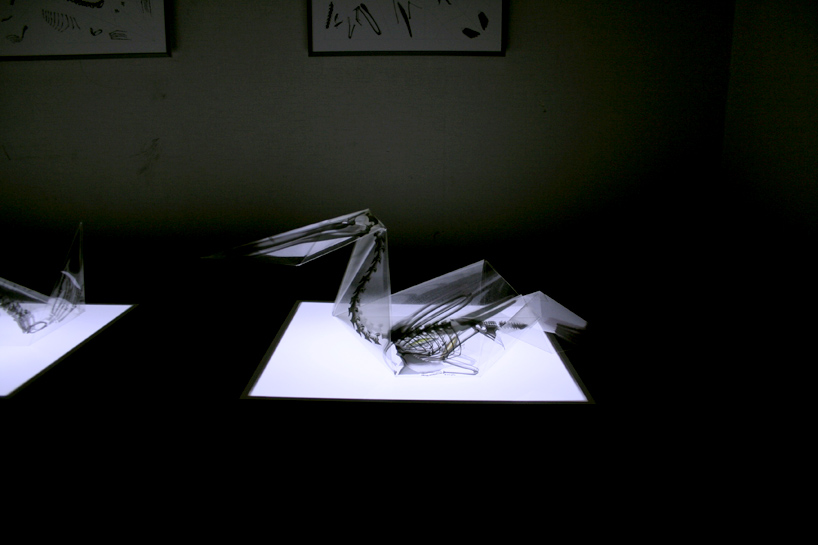 rayonx-origami-11