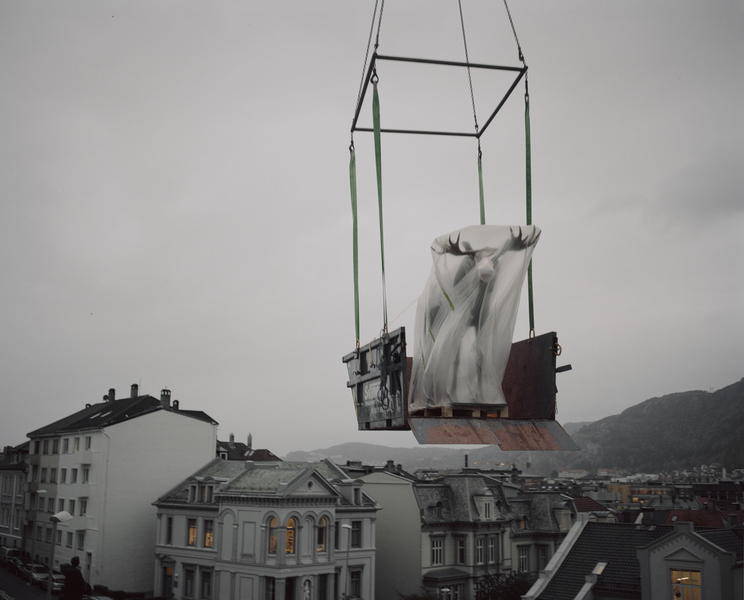A moveable beast The exhibitions in the Natural History Collections in Bergen, Norway are undergoing a major restoration, and will be closed for at least five years. Due to this all the animals are beeing moved to a new temporary storage facility on the