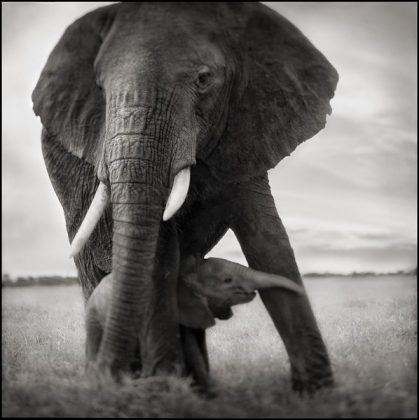 nick-brandt-03